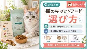 猫のキャットフードの選び方