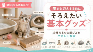 猫の基本グッズ