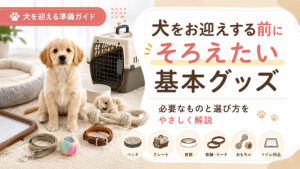 犬用おすすめグッズアイキャッチ