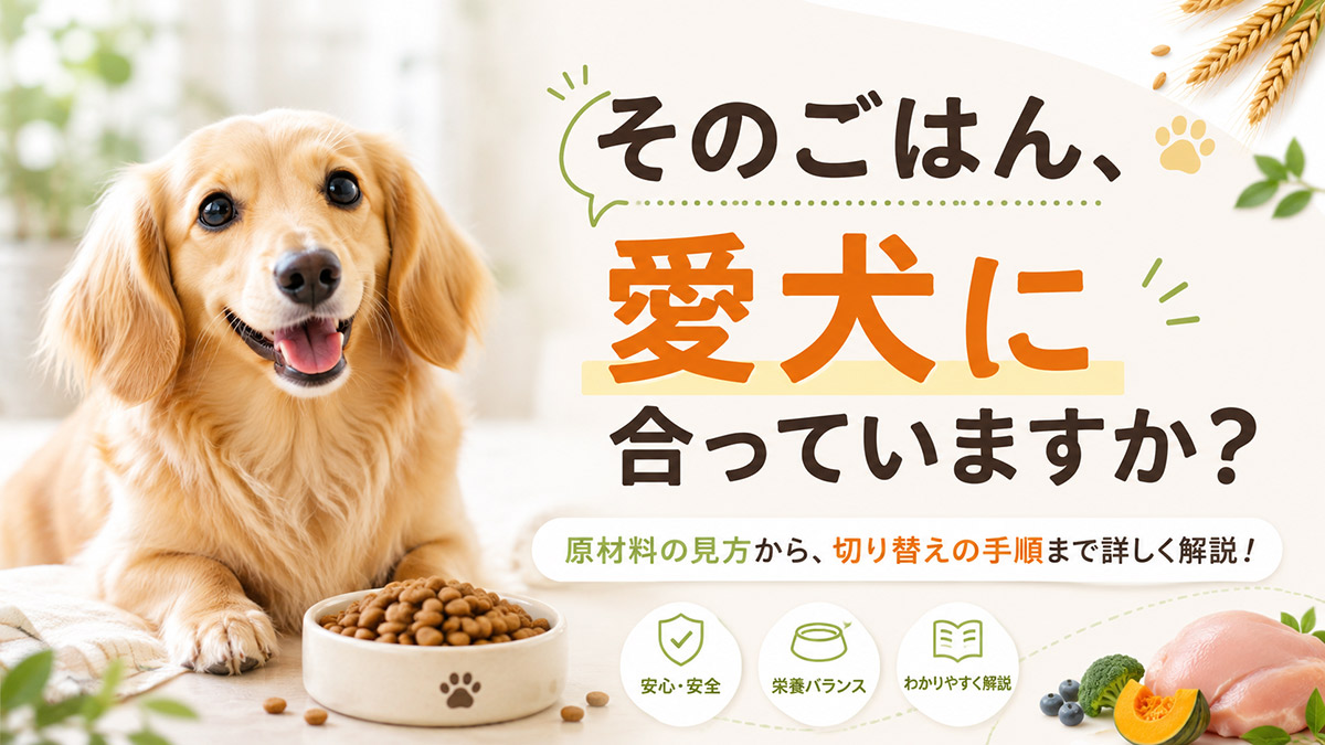 そのごはん、愛犬に合っていますか｜ドッグフードの選び方